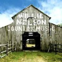 Willie Nelson - Country Music